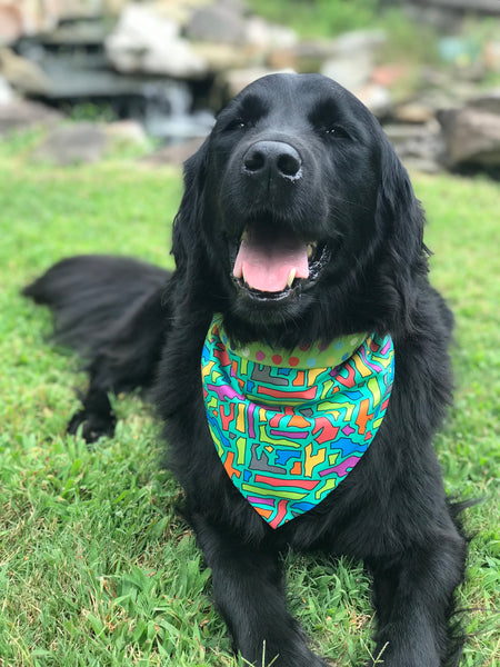 NautiPup Doggie Doo Rag Bandana with D-Ring Closure | Cove Crossing