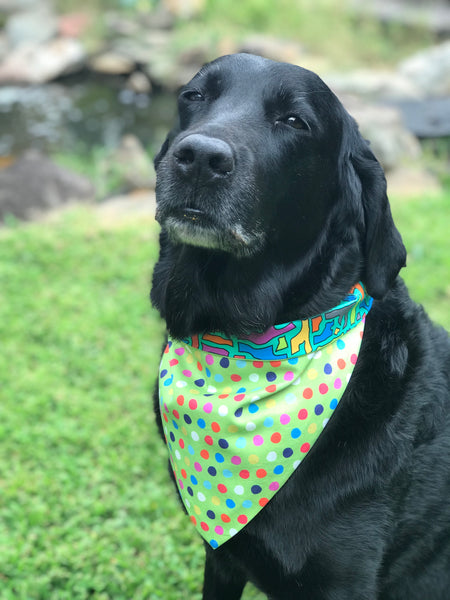 NautiPup Doggie Doo Rag Bandana with D-Ring Closure | Cove Crossing